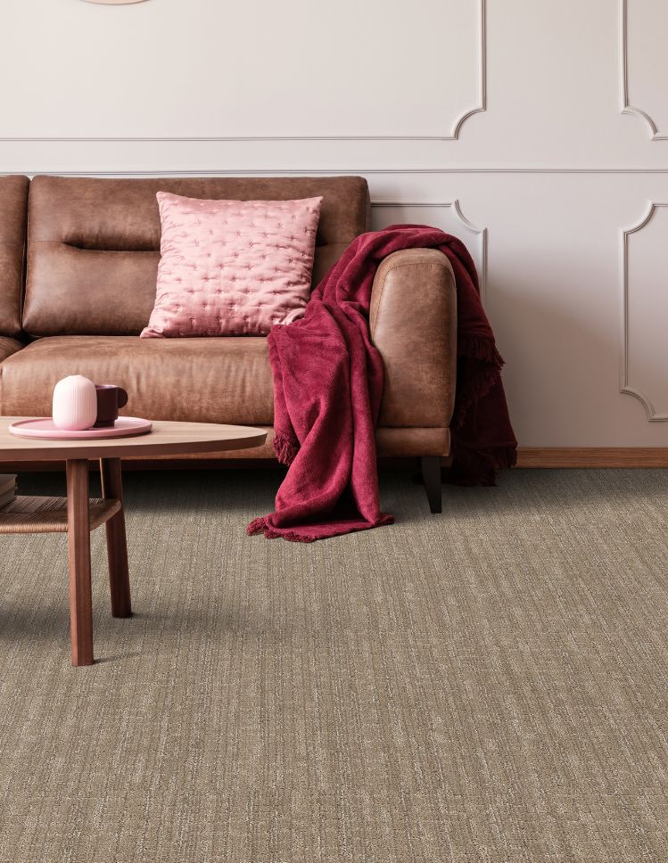 brown textured carpets in a Sturtevant living room