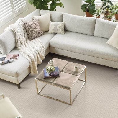 Cream carpets in a bright Brookfield living room with sectional and plants